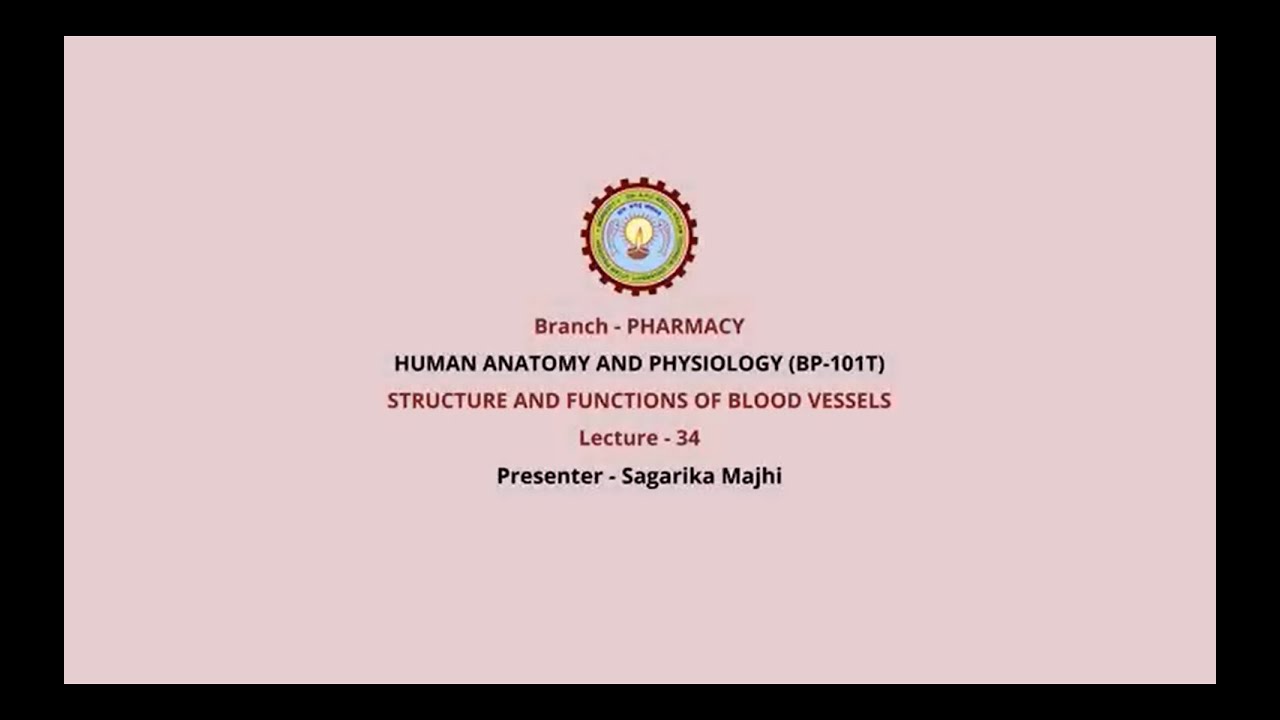 Human Anatomy & Physiology | Structure and Functions of Blood Vessels | AKTU Digital Education