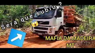 CAMINHÕES NA PRESSÃO/MAFIA DA MADEIRA MT💥 Parte 5