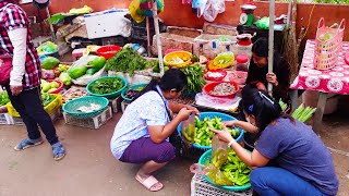 Countryside Market Near Phnom Penh - [ The Market in Koh OknhaTei ]