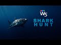 W5: Tracking Atlantic Canada's great white sharks