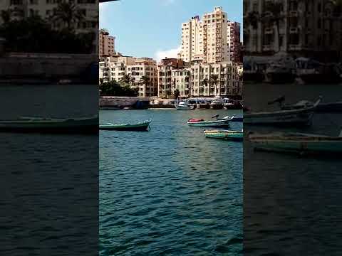 صباح الخير من اسكندريه