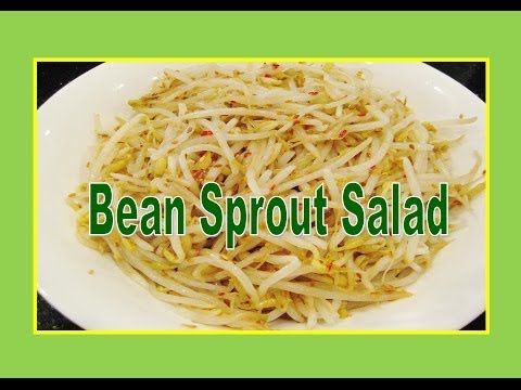 Bean Sprout Salad Recipe - Liz Kreate