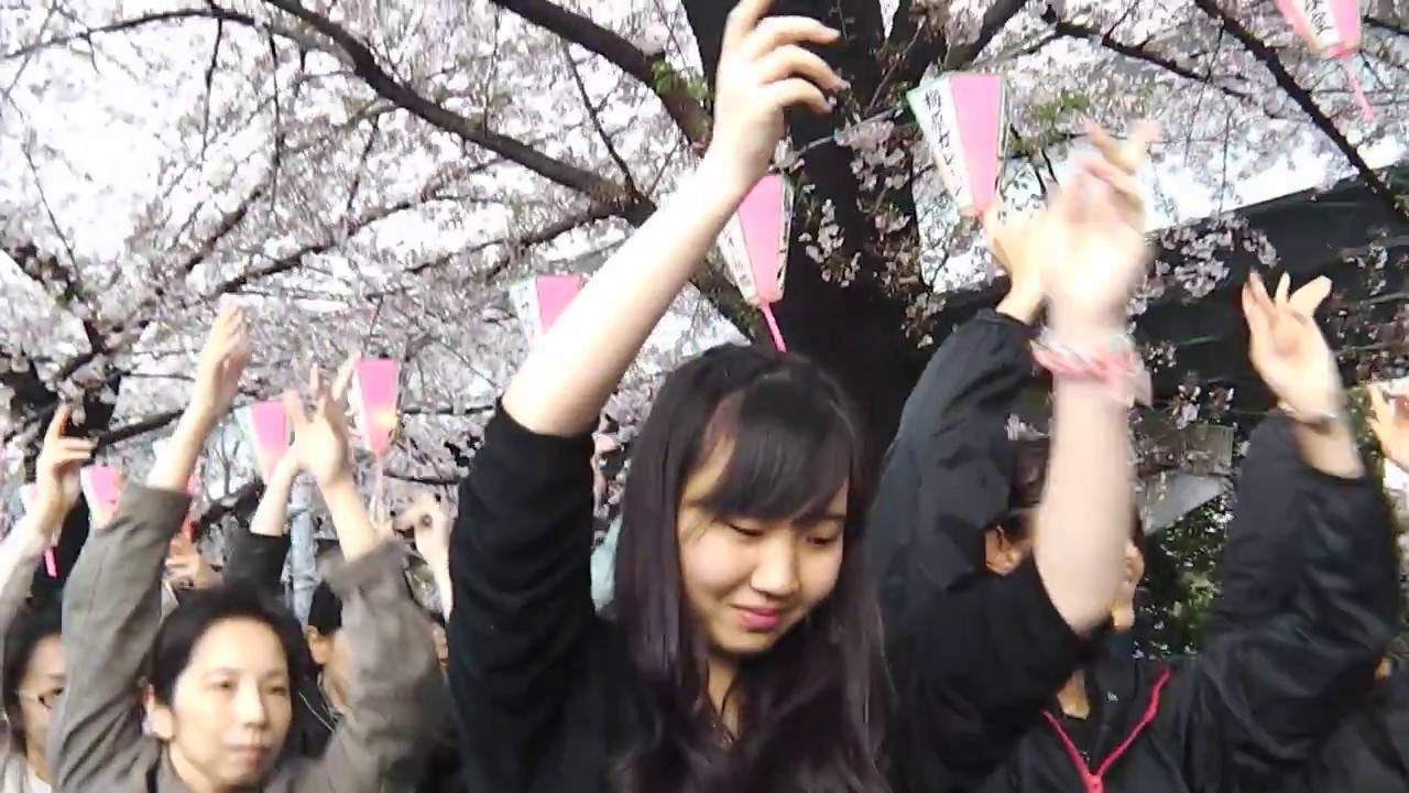 浅草雷連公開練習