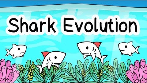 Shark Evolution Android Gameplay (HD)