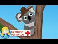 Shane The Koala | Doctor Poppy - Animals For Kids | Cartoon Animals