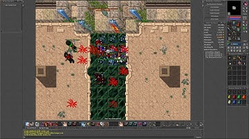 Tibia - Lloyd Boss (First Kill + Good Loot)