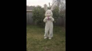 Easter Bunny Harlem Shake
