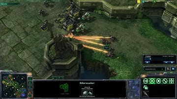 SC2 HD #67 3v3 p1/3 TTZvTTP