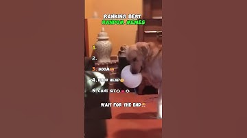 Ranking Random Memes Part 26 😂🔥 | These Just Keep Getting Funnier!
