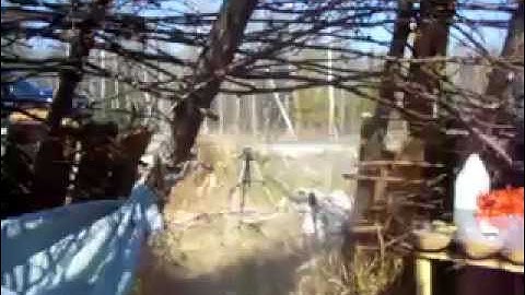 Update from Sedge Meadow Tipi ASMR Birds weaving (basket making tutorial) 