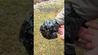 This Tool Saved My Arthritis Pain