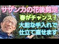 【サザンカ(山茶花)の剪定】花が咲いた後に行う大胆な枝の整理(2023年3月)🌳🍃