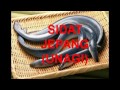 WA 0816 328 6451 (Indosat), Ibu Hamil Makan Unagi, Unagi Makanan Seru
Enak Dan Sehat