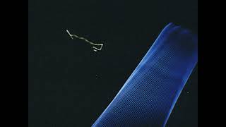 Tommy Lewis X Freeman 713 - Tar Phtm003