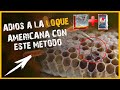 ✅ Como ELIMINAR LA LOQUE AMERICANA de una colmena de abejas? | 👉LOQUE AMERICANA🐝