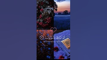 قران كريم | سورة الاخلاص 🎧🤍#قرآن #اسلام_صبحي #trending