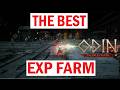 The BEST EXP Farm [ODIN: VALHALLA RISING]