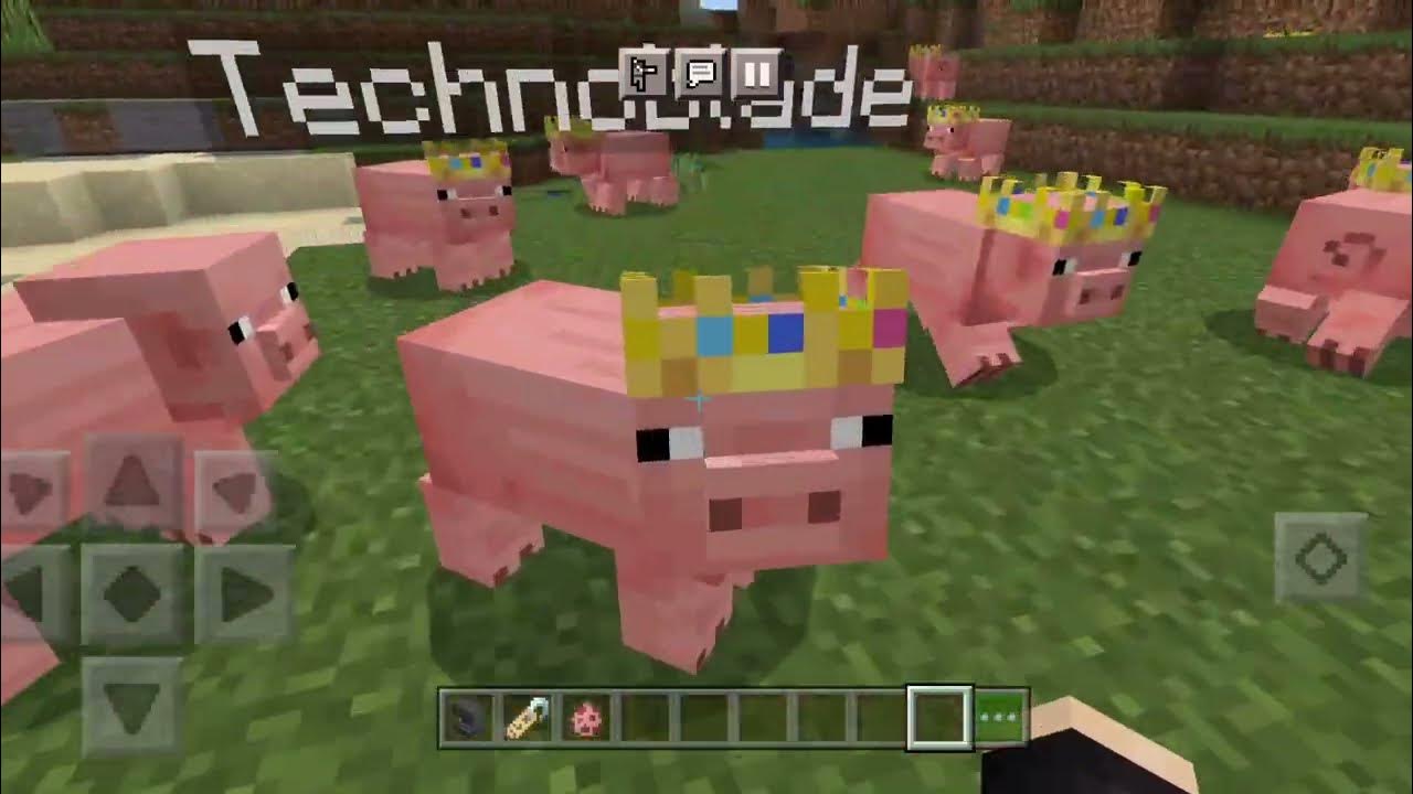 Rainvay_ZCYF on X: Technoblade Easter Egg Pig Resource Pack🐷👑🗡️ The  crown will only show when the pig is named Technoblade and has full  health.   / X