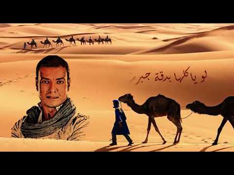 الشاعر العظيم هشام الجخ يلقي قصيده عن الصعيد