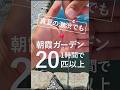 【朝霞ガーデンで1時間で20匹以上】真夏の激渋でも連発したい方必見!#朝霞ガーデン #釣り #釣り具 #ルアーフィッシング #真夏 #埼玉県 #夏休み