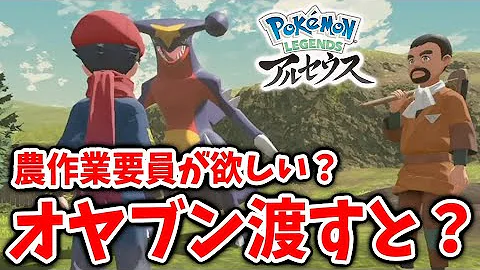 アルセウスなおじろうの部屋フカマル
