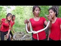 Survival skills: Catch wild snake for food of survival - Big snake soup spicy for lunch