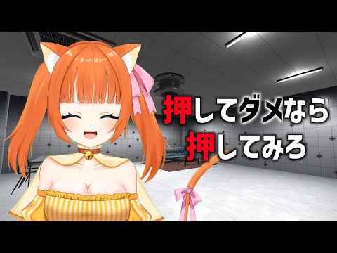 今だけなんと押し放題！！【押してダメなら押してみろ】