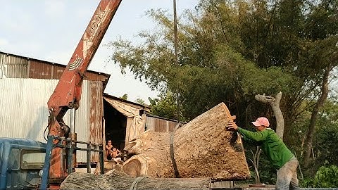 Cần cẩu UNIC 360k, tài xế mập chơi lớn cẩu cây khủng luôn.