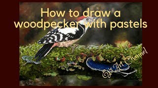 How to draw a woodpecker with pastels - panpastel screenshot 2