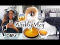 WEEKLY VLOG! NEW HAIR, PIZZA & WINE NIGHT, ONLINE SHOPPING & THE PIE BAKE OFF!!