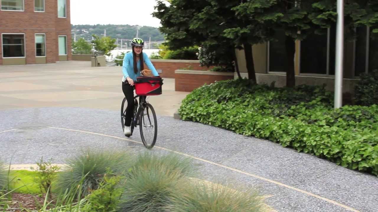 doggyride cocoon bike basket for pets