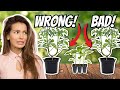 9 FATAL Transplanting Mistakes to Avoid in Your Garden!