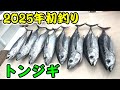 【トンジギ】2025年初釣りにいったらまさかの展開に