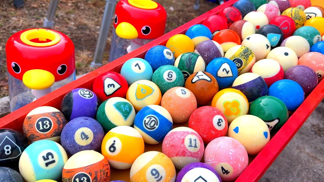 Marble Run☆Marble Run Guppy