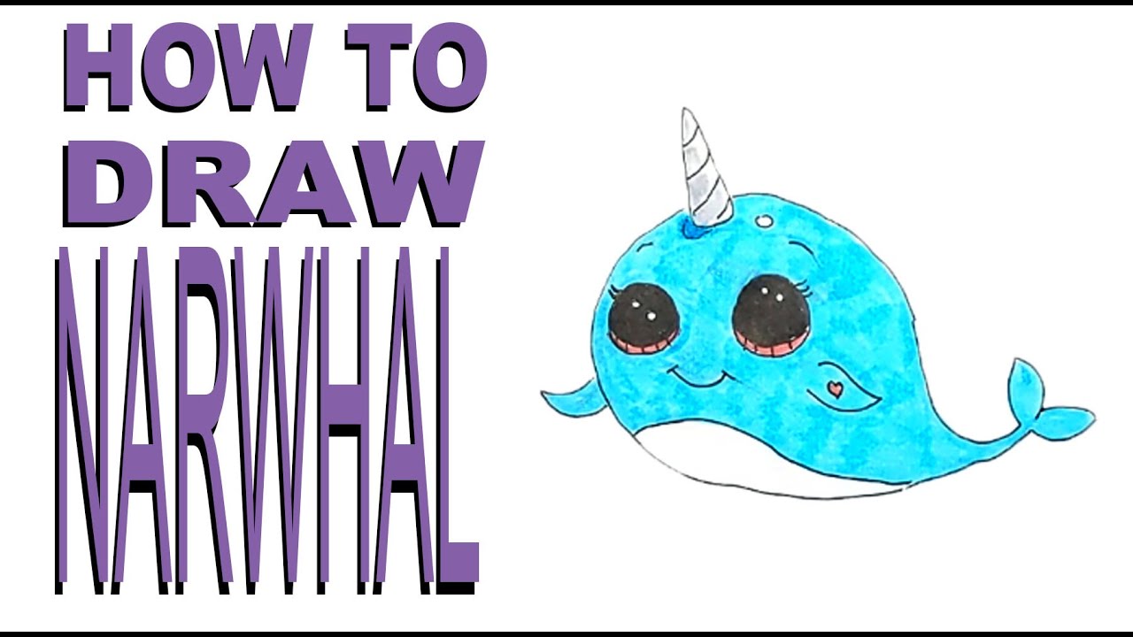 How to Draw a Narwhal YouTube