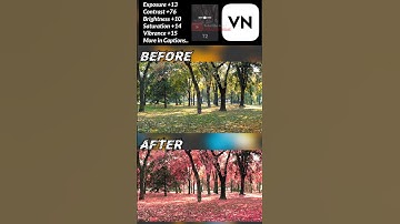 Vn App Se Video Colour Grading Kaise Kare #vn #shorts