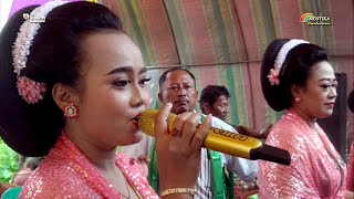 Download Lagu SUKORENO // TAYUB BLORA MUKTI RARAS // Wes Mulai Kuncoro MP3