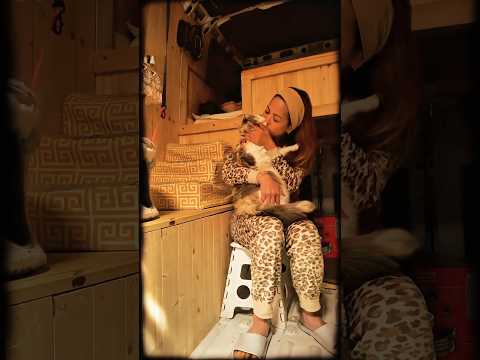 A Peaceful Morning With Cat In My Van #vanlife #peacefulmoments  #shortsfeed #shorts