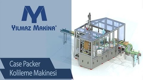 Case packer | Secondary Packaging Machines