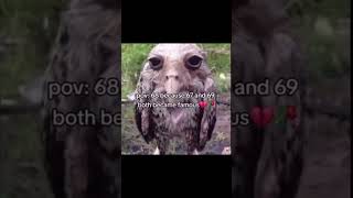 Download Lagu She found out why 68 is the saddest number MP3