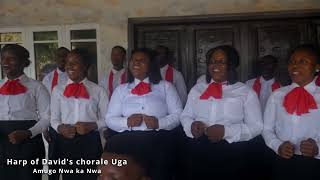 Download Lagu Amugo nwakanwa, Rendered by Harp of David's Chorale Uga. Composed by Emmanuel Atuanya  MP3 Download Lagu Amugo nwakanwa, Rendered by Harp of David's Chorale Uga. Composed by Emmanuel Atuanya  MP3