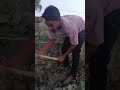 bapu kisan hai #photo #shorts#video #desi boys stays on top #photo