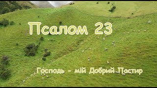 Псалом 23 - Господь добрий Пастир 🐑🐑🐑 (Псалом довіри до Бога українською, переклад І. Хоменка) 🐏🐏🐏