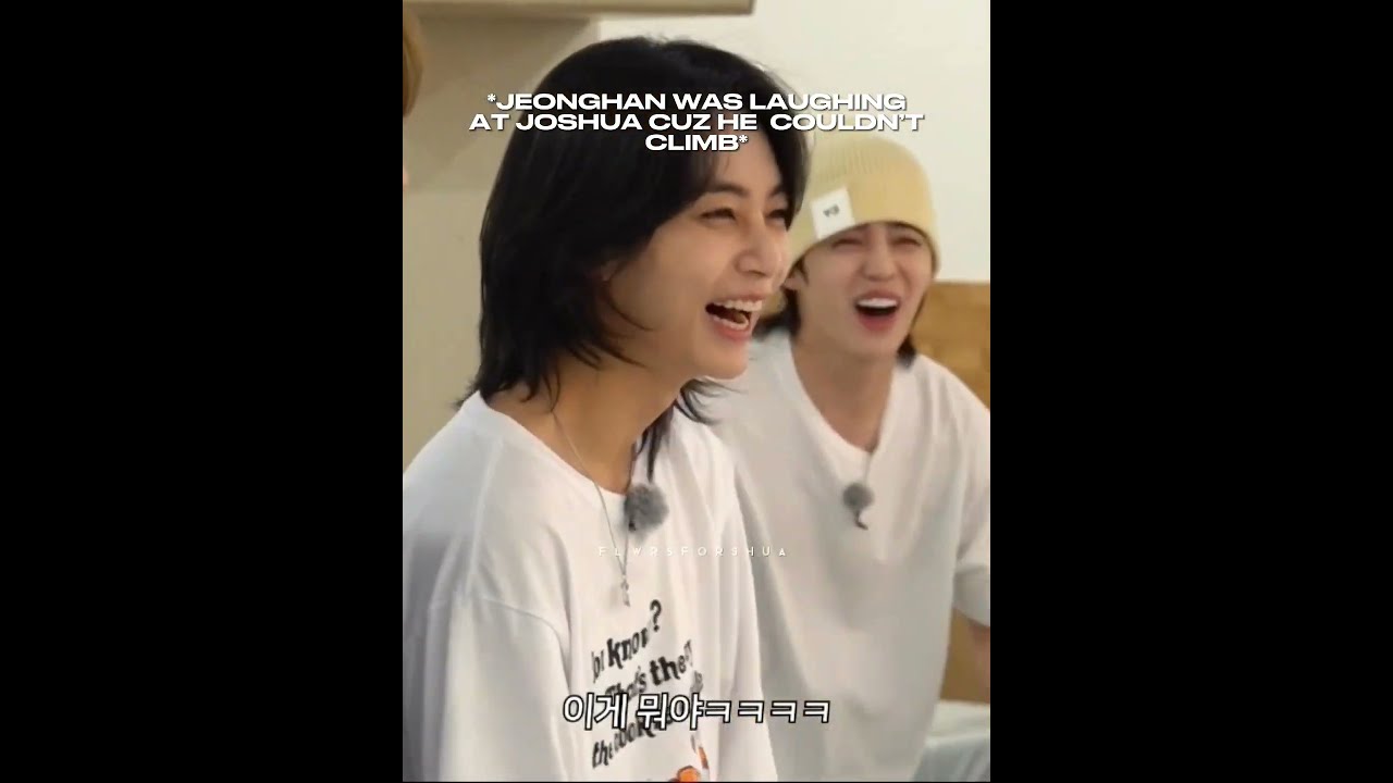 Best friends vibes 😭 #seventeen #kpop #jeonghan #joshua #scoups #junhui #fyp #foryou #goingsvt