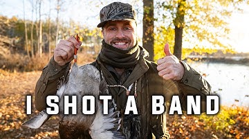 I Shot a Mallard Band