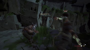 ABSOLVER_2019  hacker in action