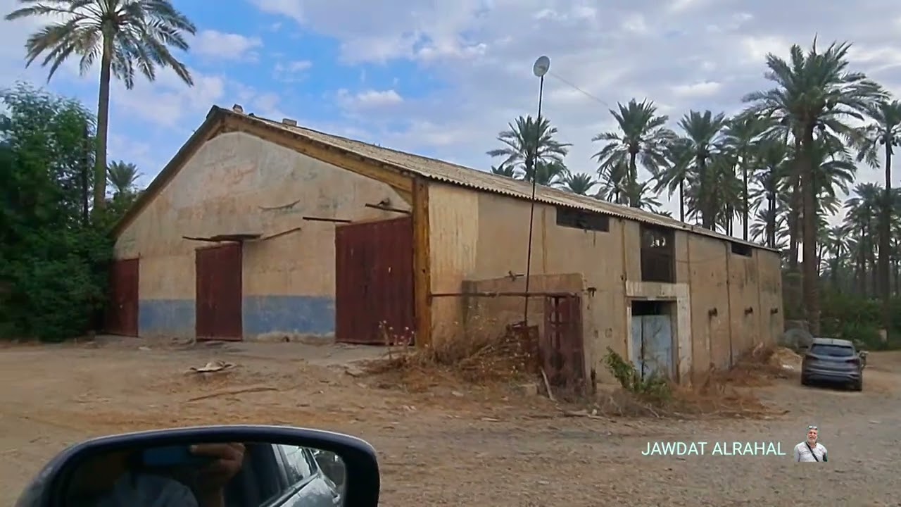 جولة في مزارع الطارمية في بغداد