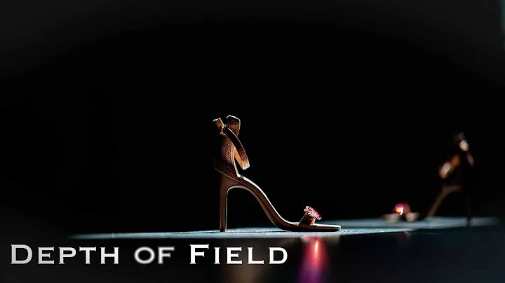 Depth of Field 2019 | Susan Stripling | Lenses & T...