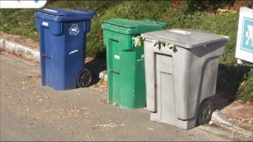 Garbage Cans on Google Maps 80