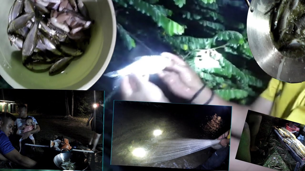 Menjala di Hulu sungai Bendul di MALAM HARI // IKAN TERUS DI GORENG